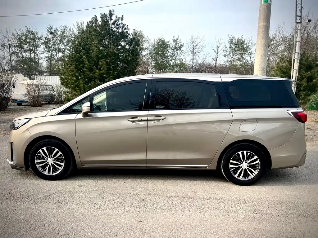 Buick GL8 2023 ES Lu Zun Exclusive Model купить на сайте DeffCars
