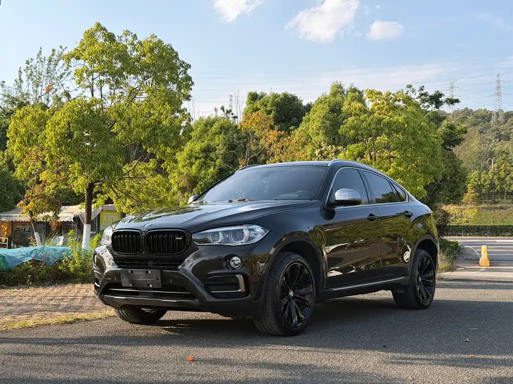 BMW X6 2017 xDrive35i leading model купить на сайте DeffCars
