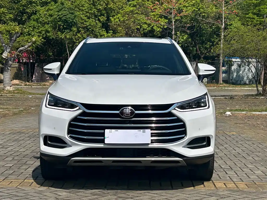 Tang 2021 2.0T automatic flagship model купить на сайте DeffCars