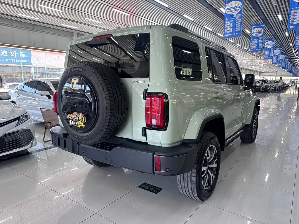 TANK 300 2023 City Edition 2.0T Very Stylish купить на сайте DeffCars