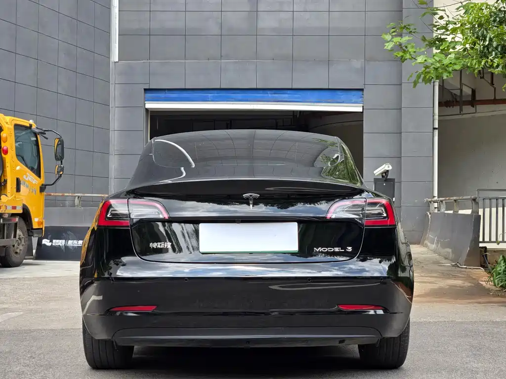 Model 3 2022 rear-wheel drive version купить на сайте DeffCars