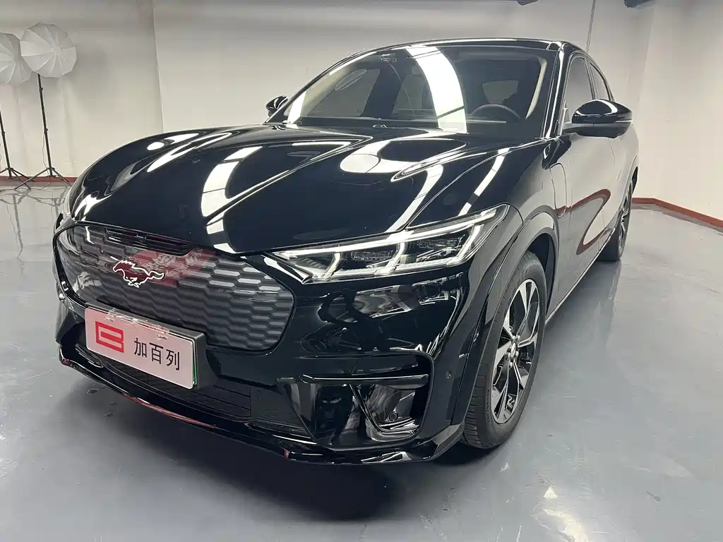 Ford E-horse 2021 Borderless rear-wheel drive luxury version with long battery life купить на сайте DeffCars