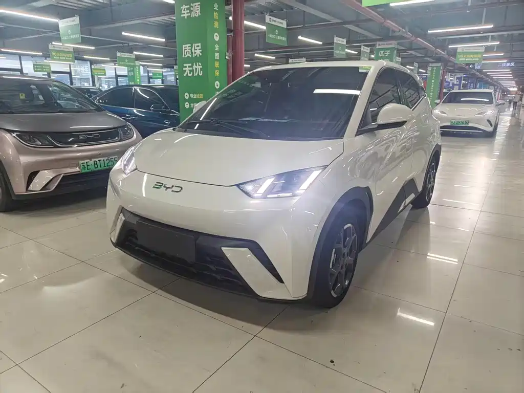 Seagull 2025 model 305km free version купить на сайте DeffCars