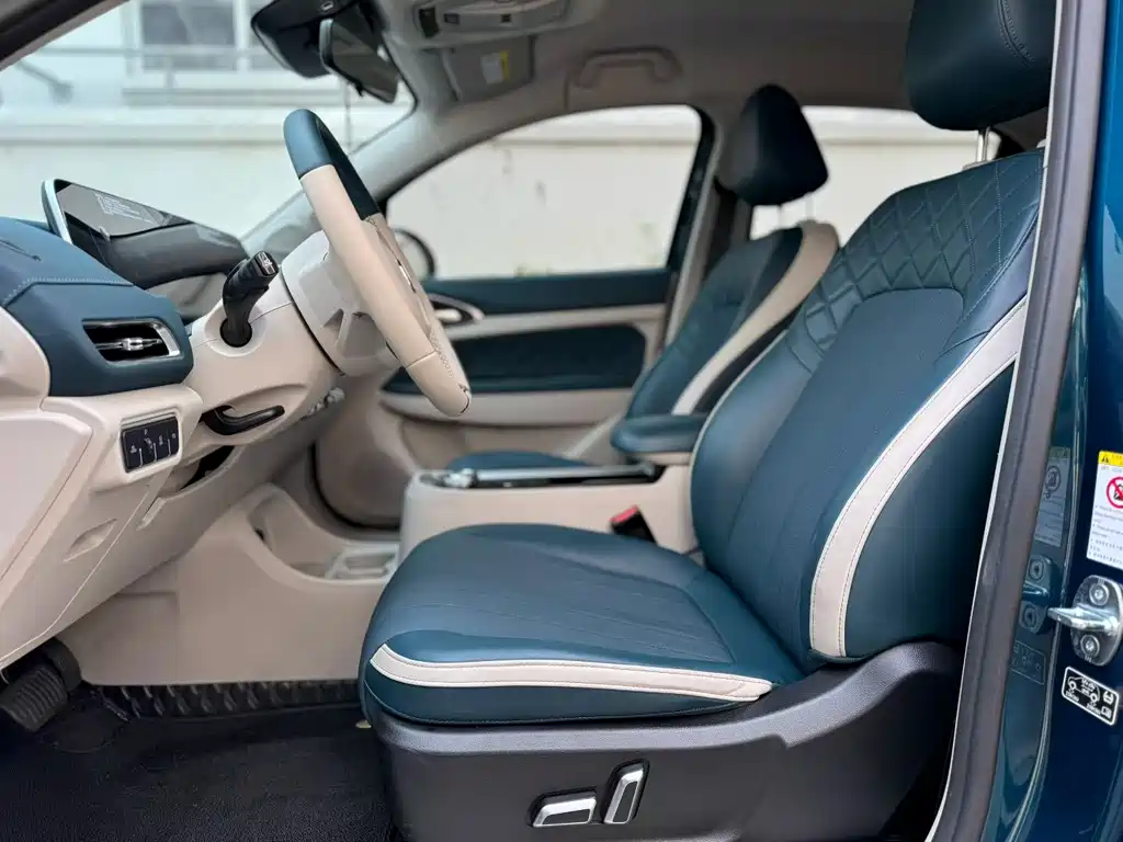 Euler Good Cat 2022 Morandi Edition 400km standard battery life luxury model lithium iron phosphate купить на сайте DeffCars