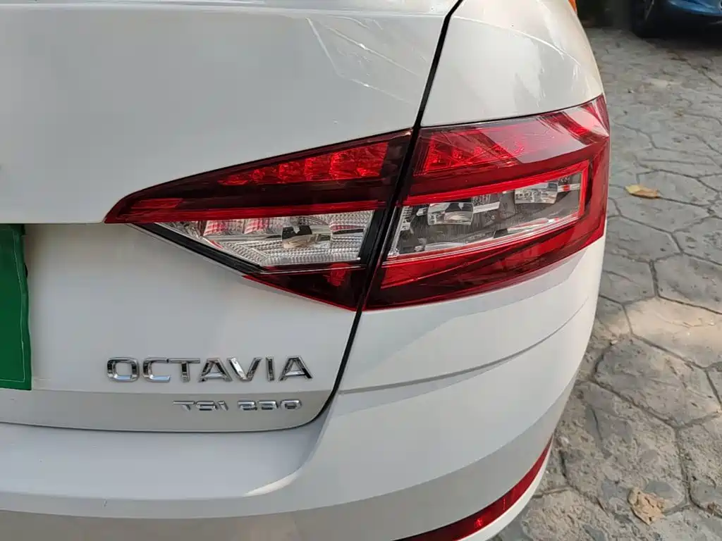 Octavia 2019 TSI230 DGSSenova Zhixing Comfort Edition National VI купить на сайте DeffCars
