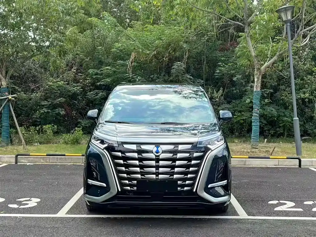 Denza D9 2022 DM-i 970 four-wheel drive flagship model купить на сайте DeffCars