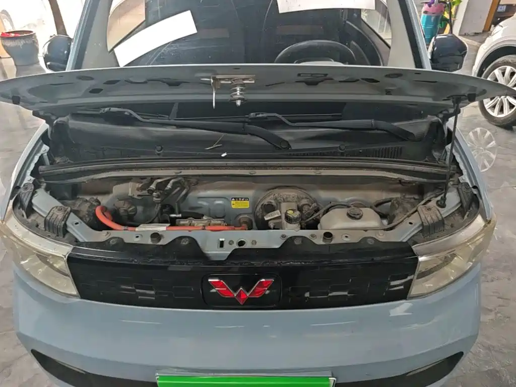 Hongguang MINIEV 2020 Relaxed Model Ternary Lithium купить на сайте DeffCars
