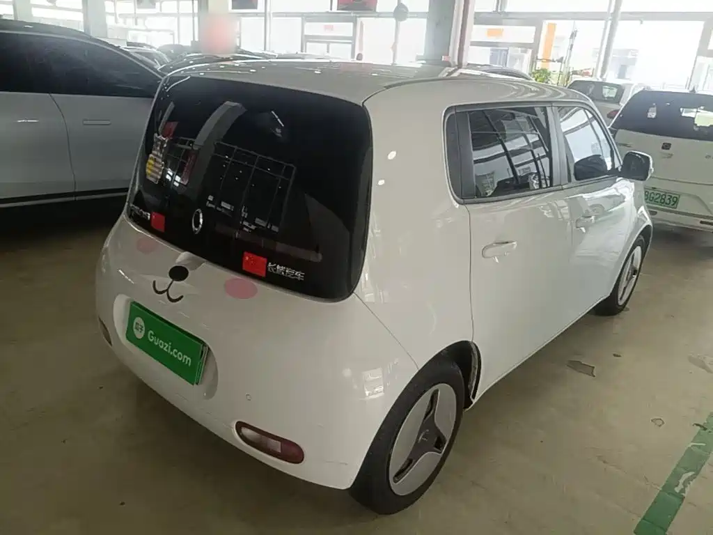 Euler White Cat 2020 360km luxury model купить на сайте DeffCars