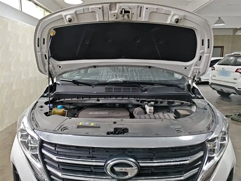 Trumpchi M8 2021 Lingxiu Series 390T Extreme Edition купить на сайте DeffCars