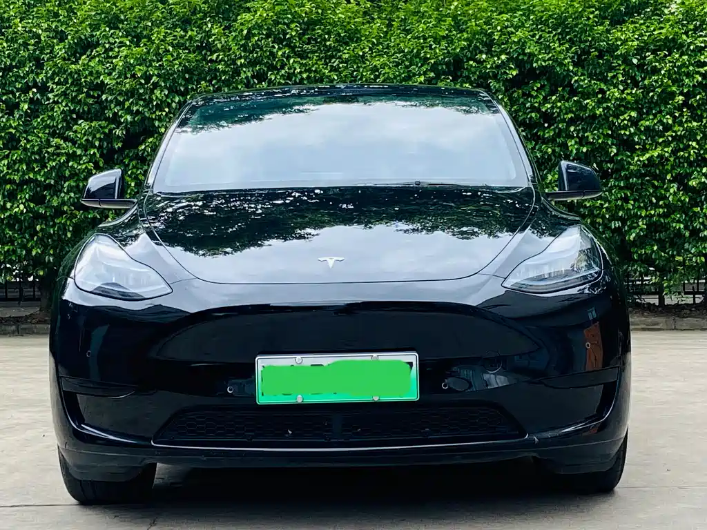 Model Y 2022 rear-wheel drive version купить на сайте DeffCars
