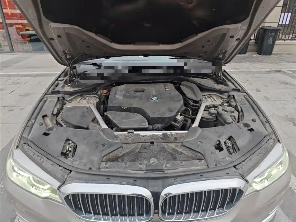 BMW 5 Series 2020 530Li Exclusive Luxury Package купить на сайте DeffCars