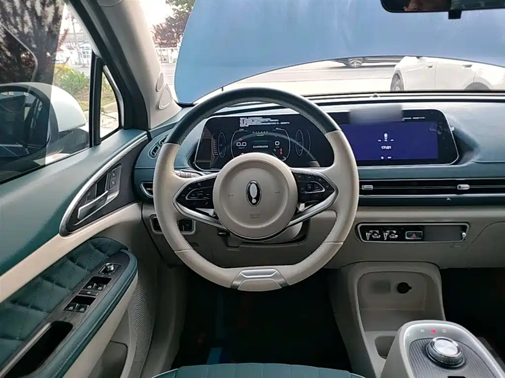 Euler Good Cat 2021 model 400km standard battery life Venus version ternary lithium купить на сайте DeffCars