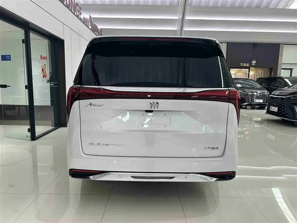 Century 2025 2.0T seven-seat Yuanshi Edition купить на сайте DeffCars