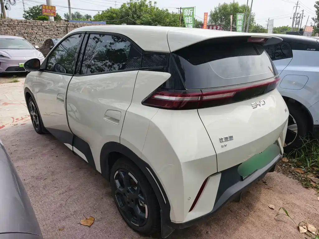 Seagull 2025 305km Free Edition купить на сайте DeffCars