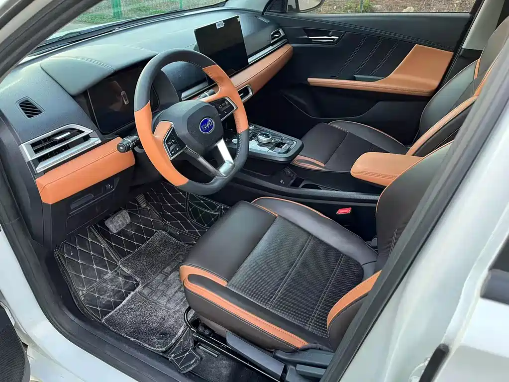 BYD e2 2020 upgraded version high endurance version premium model купить на сайте DeffCars