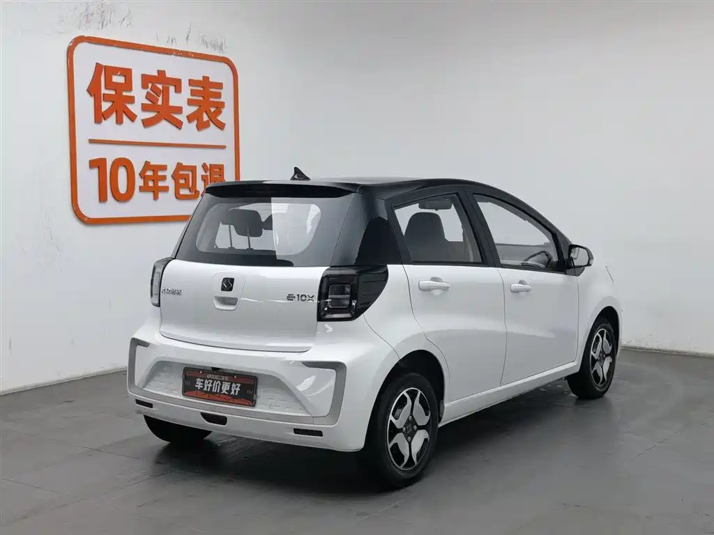 Flower Fairy 2022 Flower Fairy Style Gypsophila купить на сайте DeffCars