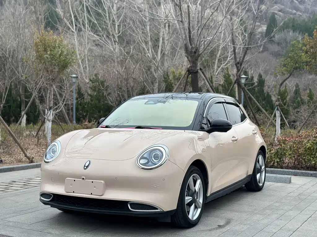 Euler Good Cat 2021 Model 400km Standard Range Venus Edition Lithium Iron Phosphate купить на сайте DeffCars