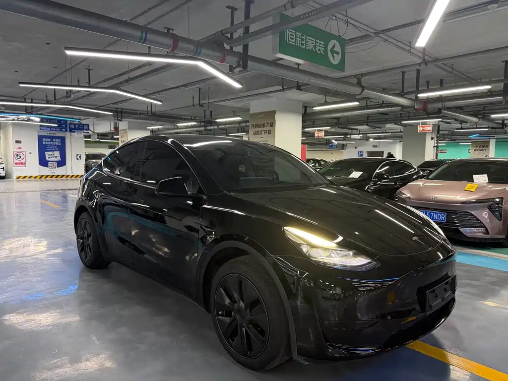 Model Y 2022 rear-wheel drive version купить на сайте DeffCars