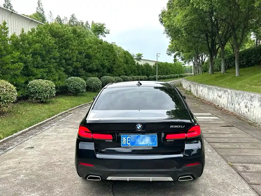 BMW 5 Series 2021 530Li Leading Luxury Package купить на сайте DeffCars
