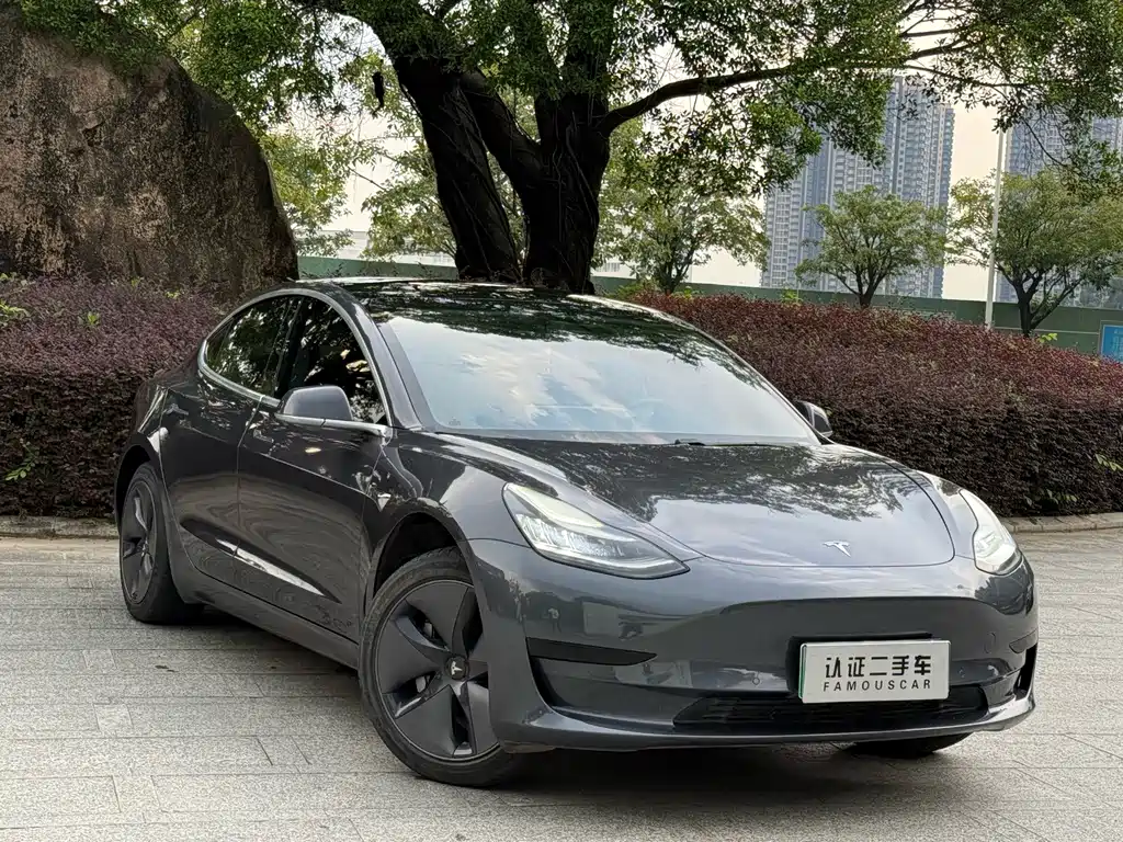 Model 3 2019 standard range rear drive upgraded version купить на сайте DeffCars