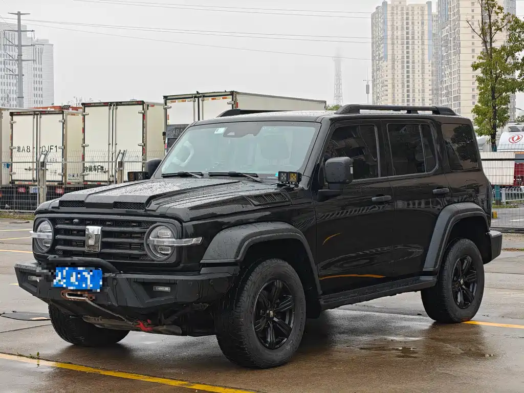 Tank 300 2021 Off-Road Version 2.0T Conqueror купить на сайте DeffCars