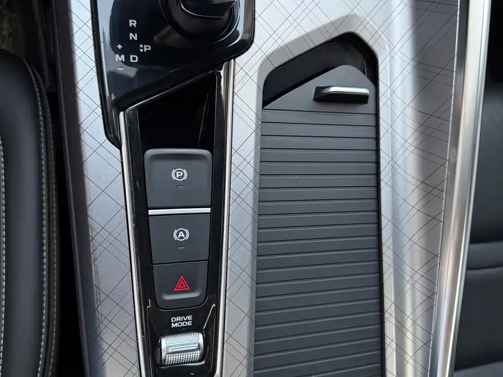 Xingrui 2021 2.0TD luxury model купить на сайте DeffCars