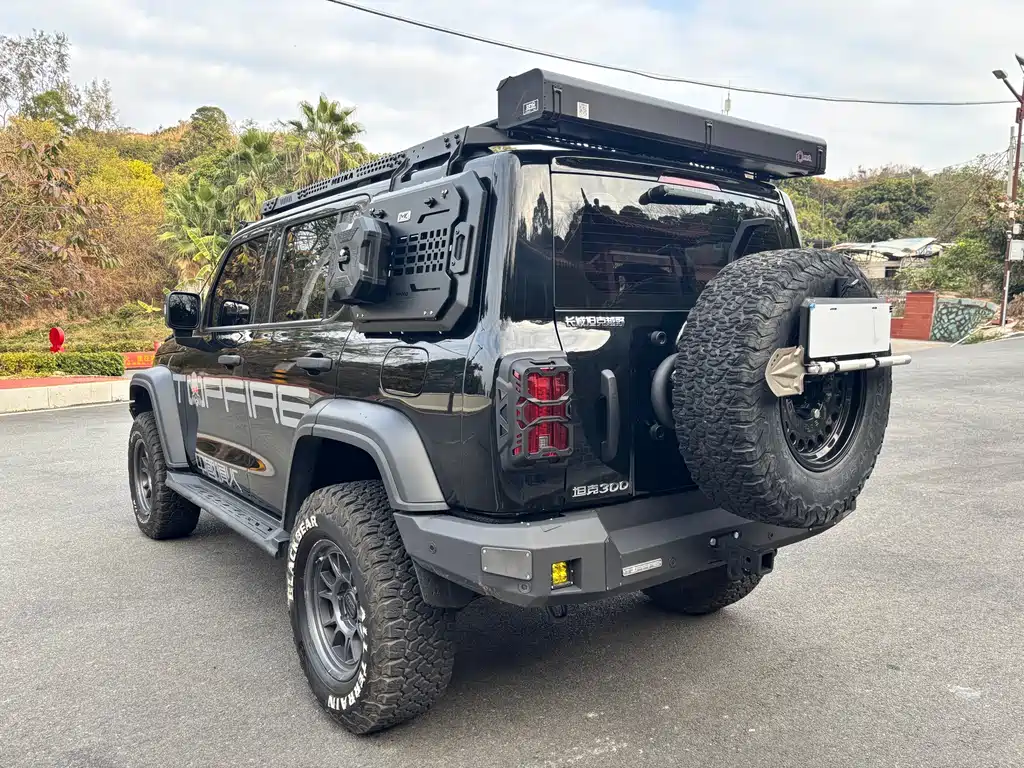Tank 300 2025 2.4T diesel version купить на сайте DeffCars