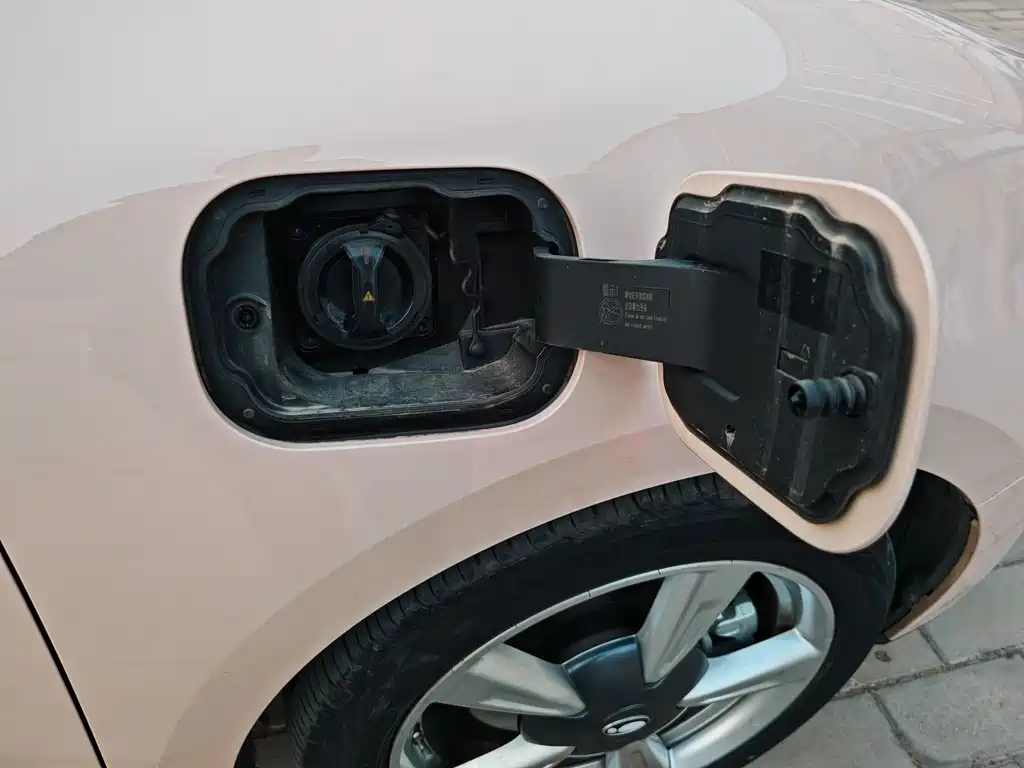 Euler Good Cat 2022 model 400km standard battery life premium type ternary lithium купить на сайте DeffCars