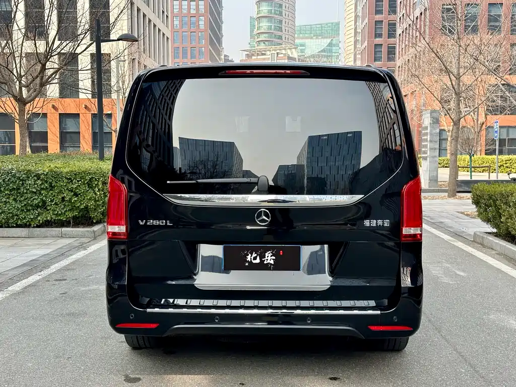 Mercedes-Benz V-Class 2020 V 260 L Long Wheelbase Luxury Edition купить на сайте DeffCars