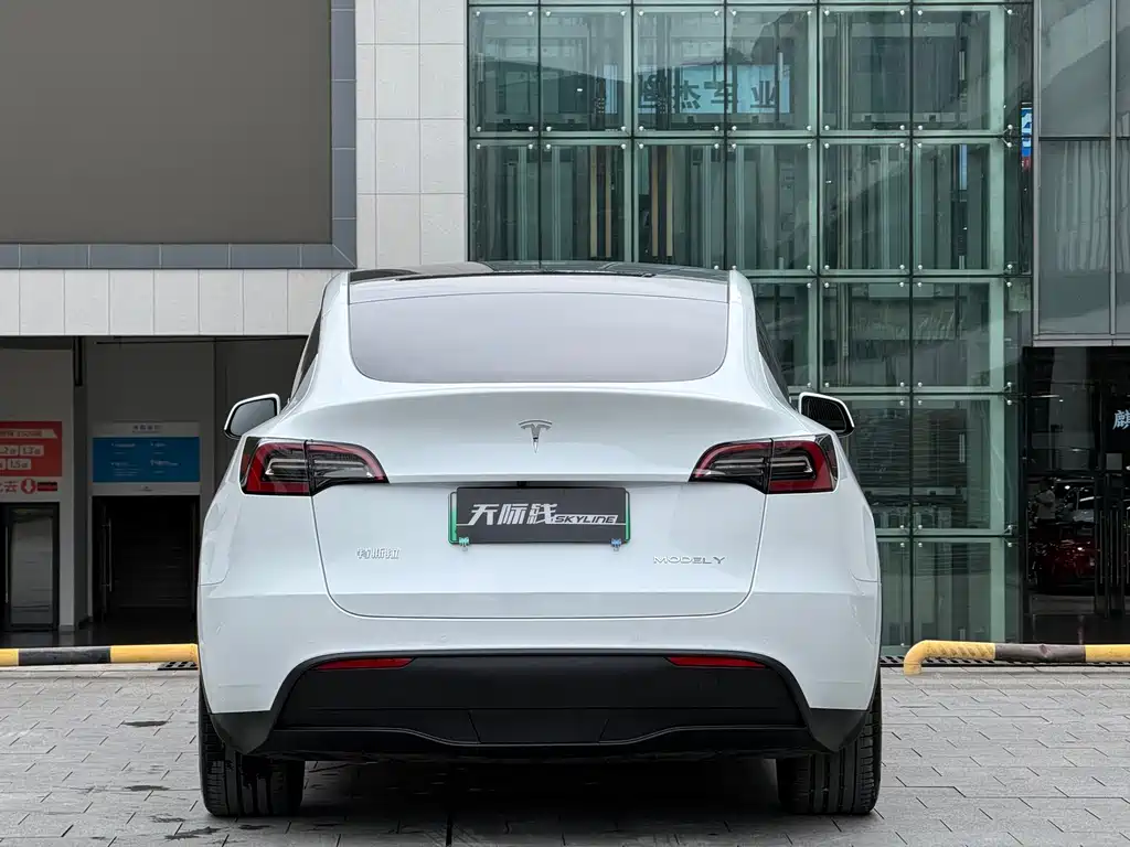 Model Y 2022 rear-wheel drive version купить на сайте DeffCars