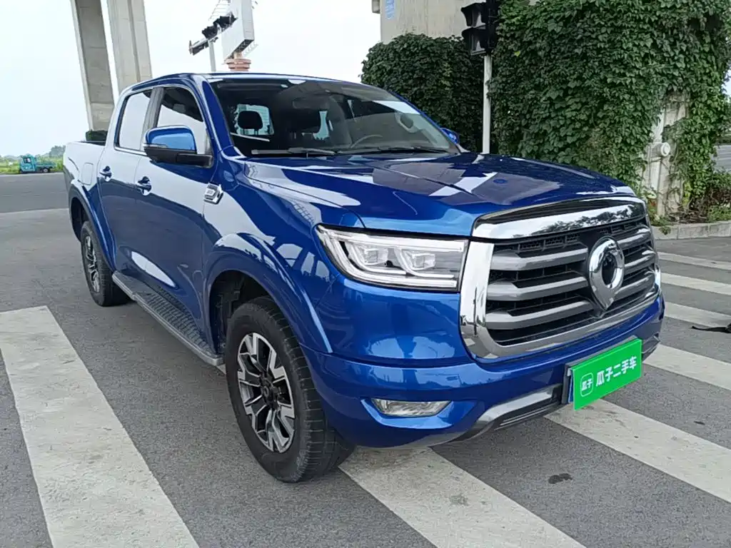 Cannon 2020 2.0T automatic diesel two-wheel drive comfort version GW4D20M купить на сайте DeffCars