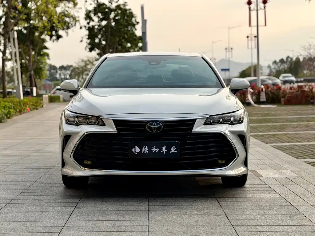 Asia Dragon 2019 2.5L Advanced Edition National VI купить на сайте DeffCars