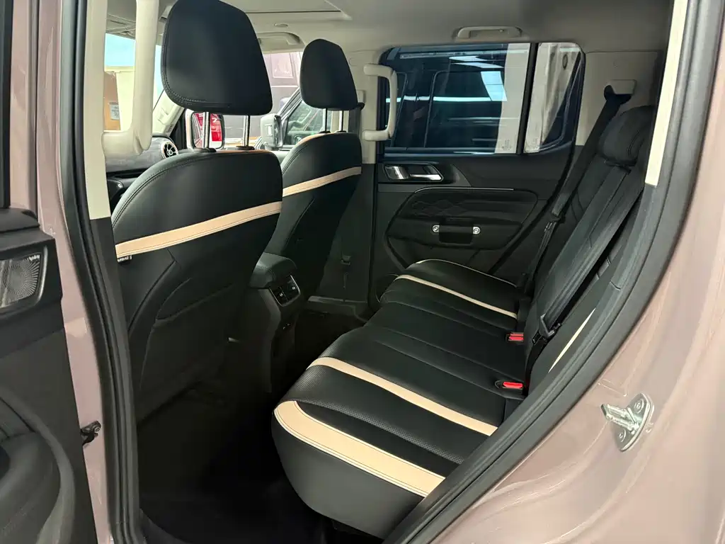 Tank 300 2023 City Edition 2.0T Very Stylish купить на сайте DeffCars