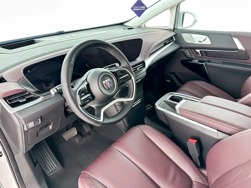 Century 2023 2.0T Six-seater Yuanshi Edition купить на сайте DeffCars