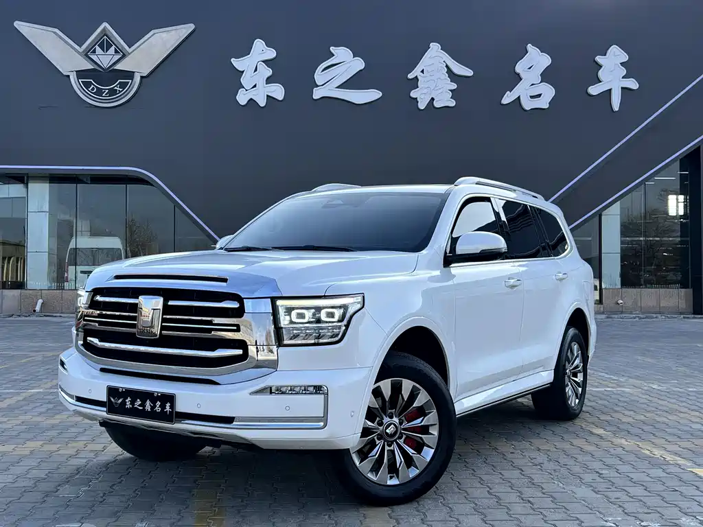 Tank 500 2022 model 3.0T sports version, environment type, 5 seats купить на сайте DeffCars