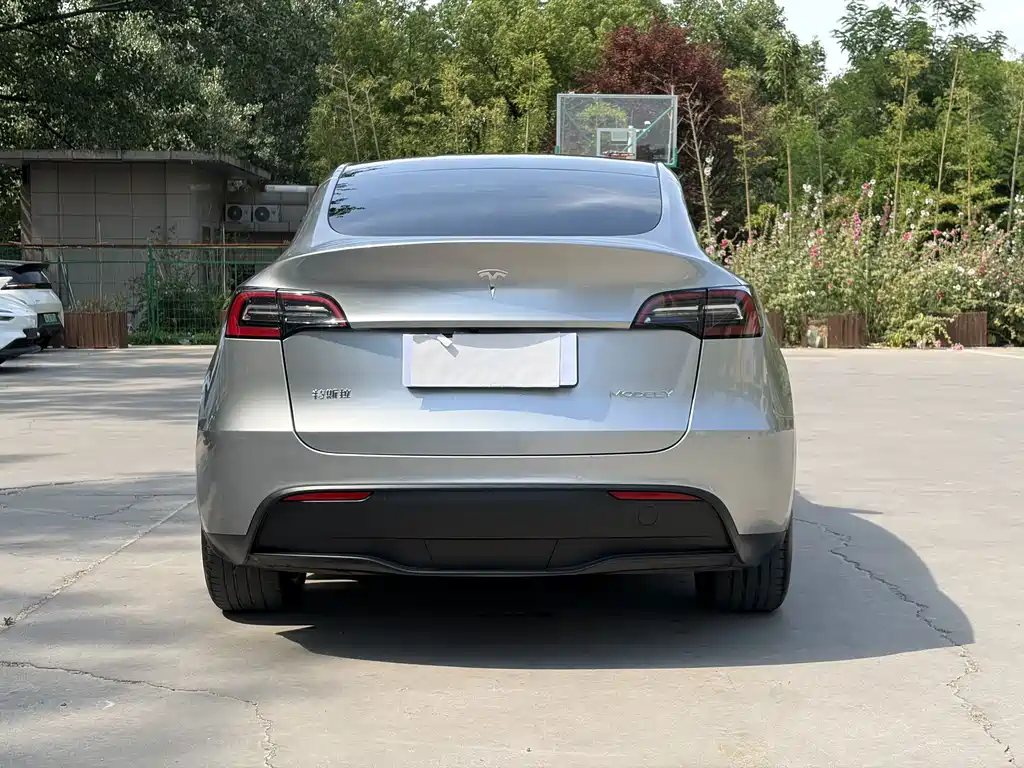 Model Y 2021 standard range rear-wheel drive version купить на сайте DeffCars