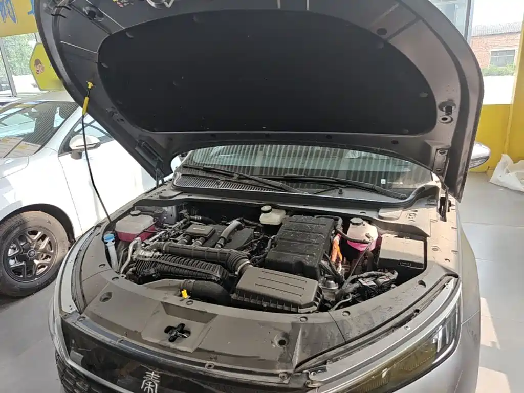 Qin L 2024 DM-i 120KM leading model купить на сайте DeffCars