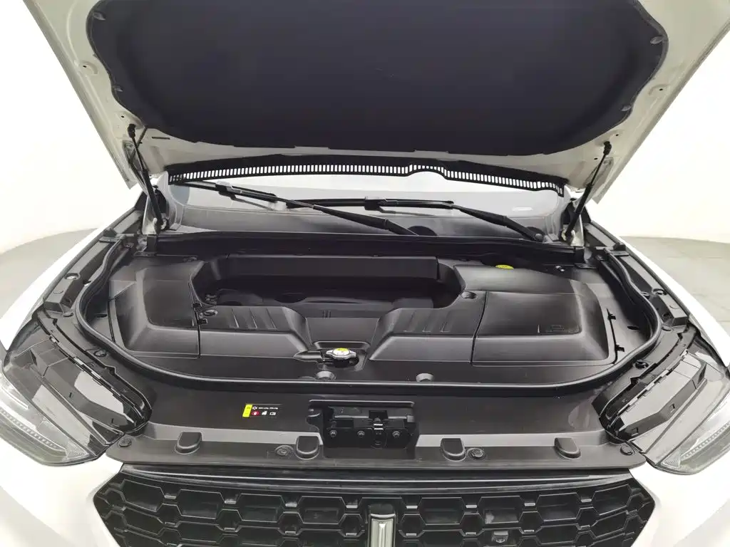 Wei brand VV6 2018 2.0T two-wheel drive flagship model National V купить на сайте DeffCars