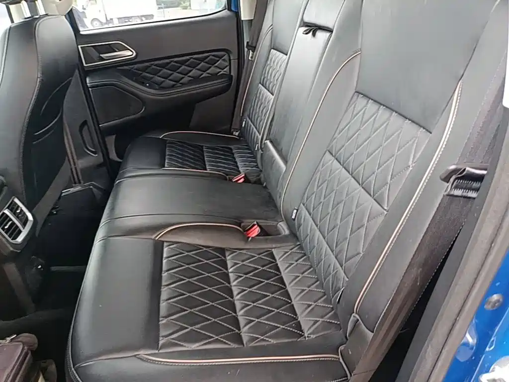 Cannon 2020 2.0T automatic diesel two-wheel drive comfort version GW4D20M купить на сайте DeffCars
