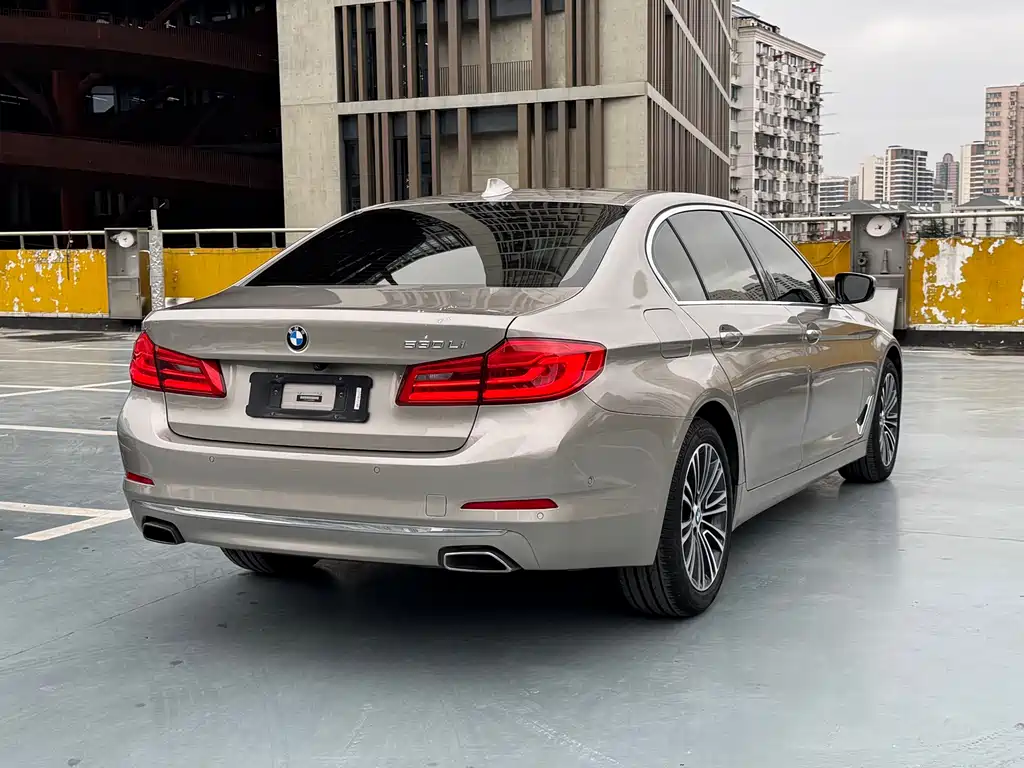 BMW 5 Series 2019 530Li Exclusive Luxury Package купить на сайте DeffCars