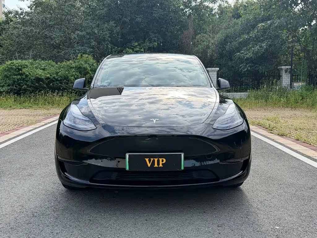 Model Y 2022 modified rear-wheel drive version купить на сайте DeffCars
