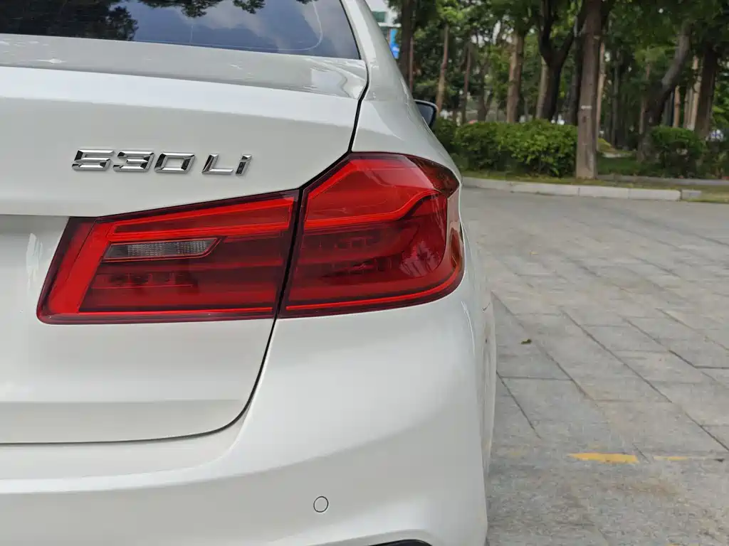BMW 5 Series 2019 530Li Leading M Sports Package купить на сайте DeffCars