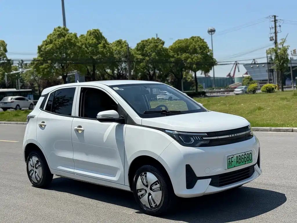 Reading Mango Pro 2022 200 Classic Edition купить на сайте DeffCars