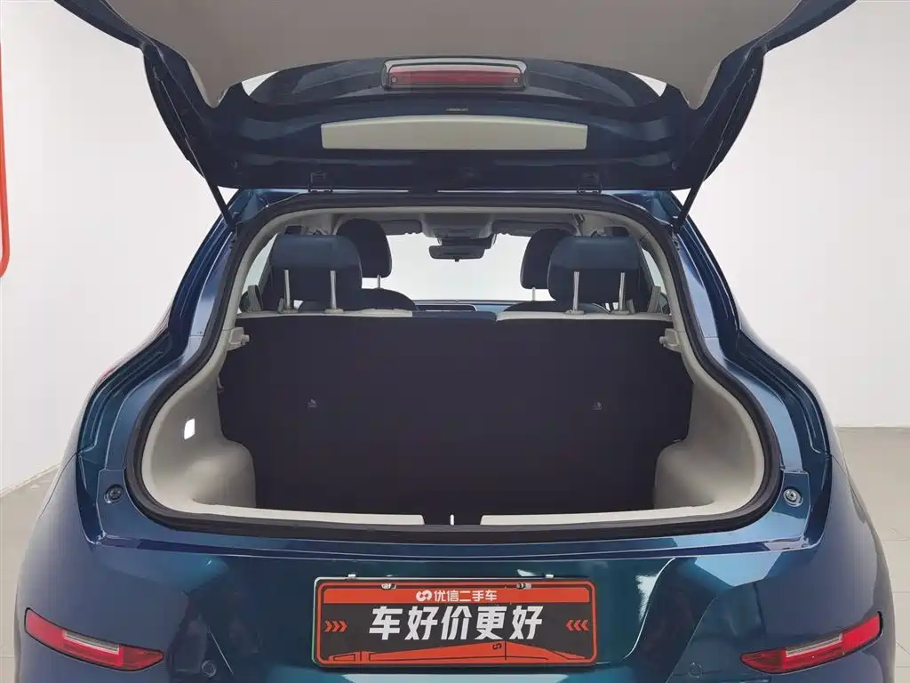 Euler Good Cat 2022 Morandi Edition 400km standard battery life luxury model ternary lithium купить на сайте DeffCars