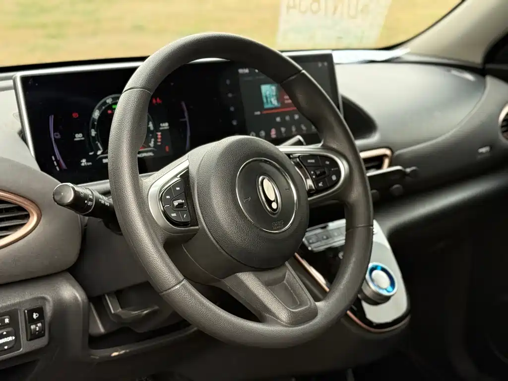 Euler White Cat 2022 Little Wildcat Edition 360km Luxury Model Three Yuan Lithium купить на сайте DeffCars