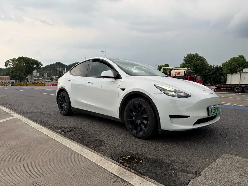 Model Y 2022 rear-wheel drive version купить на сайте DeffCars