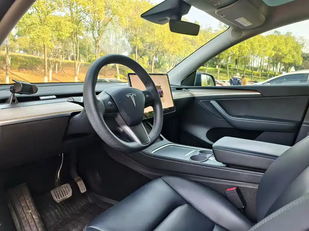 Model Y 2022 rear-wheel drive version купить на сайте DeffCars