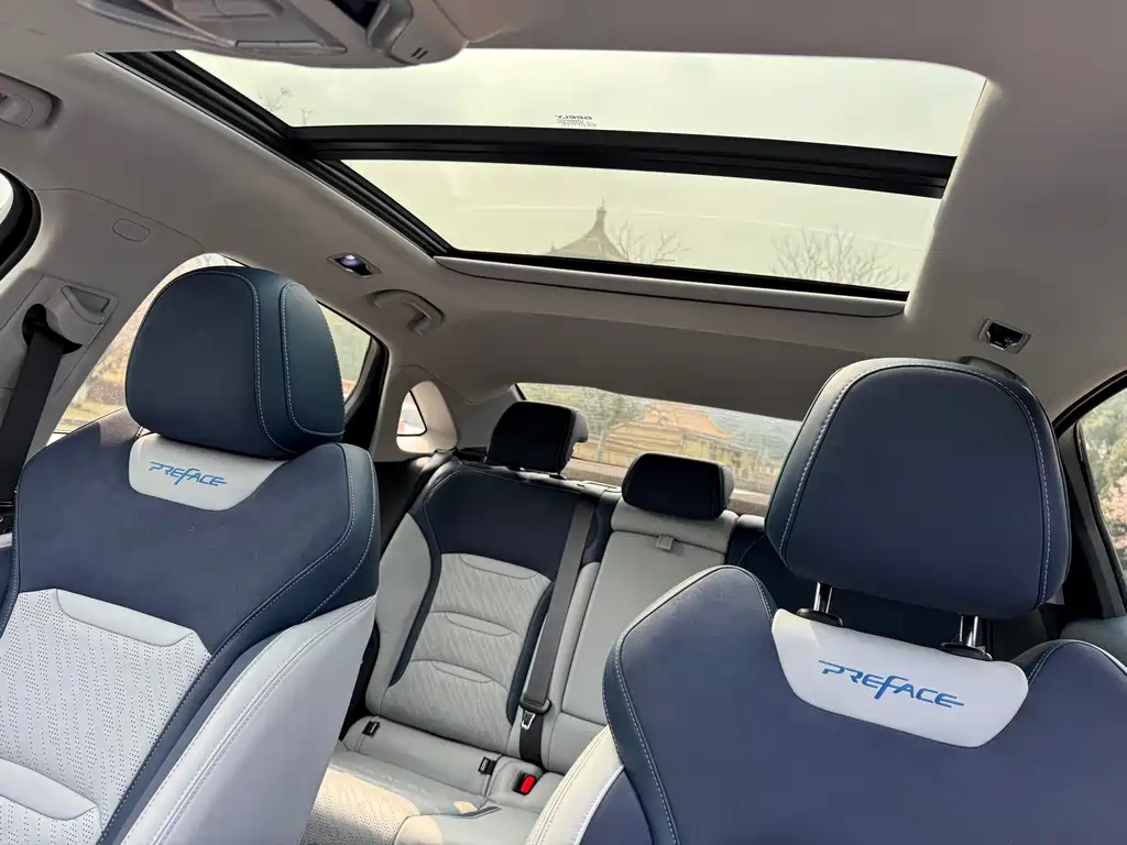 Xingrui 2021 facelift 2.0TD premium model купить на сайте DeffCars