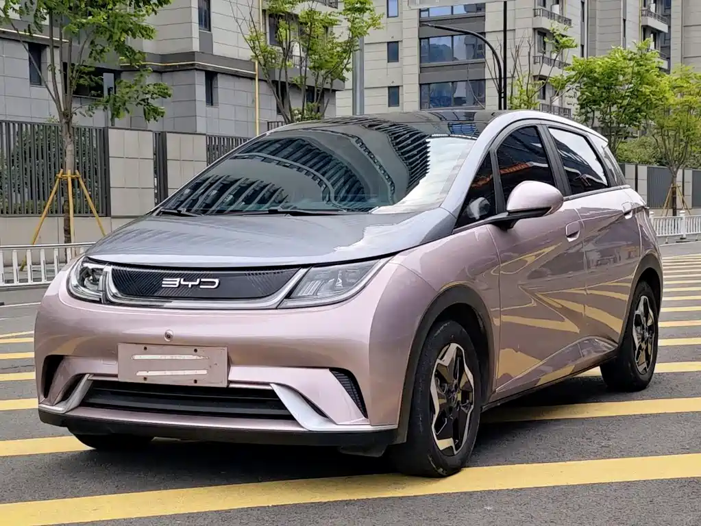 Dolphin 2021 405km fashion version купить на сайте DeffCars