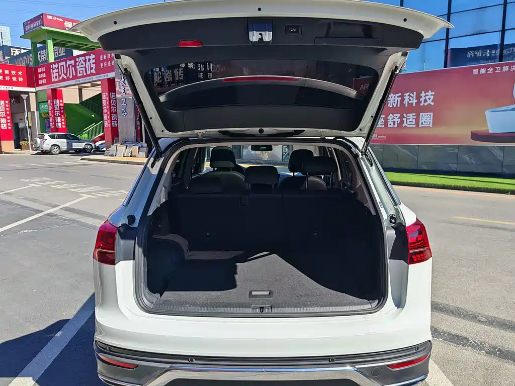 Tanyue 2019 330TSI two-wheel drive luxury model, National VI купить на сайте DeffCars